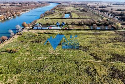 Teren intravilan VULTURU, 5.432 MP, front la Dunare 36 ML - 2