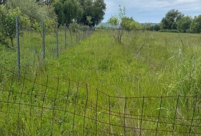 Teren de 6000 mp, în Brazda lui Novac - 2