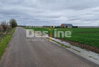 Teren Construcții intravilan de 500 mp, în Dragomirești-Vale - 2
