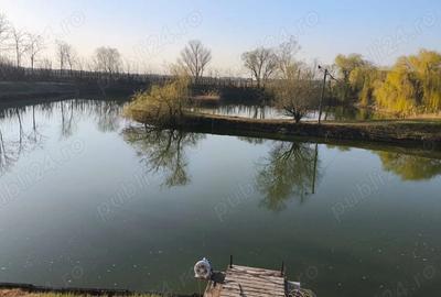 Casă cu Teren 15136 Mp în Central - 3