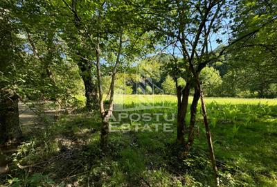 Teren Construcții extravilan de 1300 mp, în Groș - 6