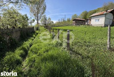 Teren de 14613 mp, în Tigveni