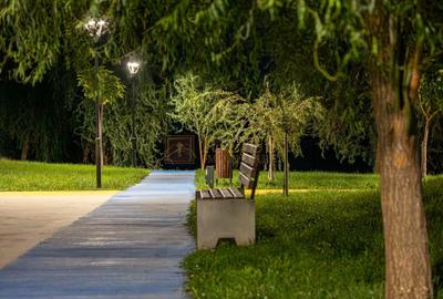 Apartament cu 3 camere decomandat, mobilat în Torontalului - 34