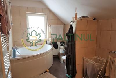 Vila Șelimbăr – 700 mp teren, jacuzzi, semineu, front stradal 30 ml - 15