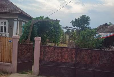 Casa Jiana Mare 3000 metri patrati Casa Jiana Mare 3000 metri patrati - 4