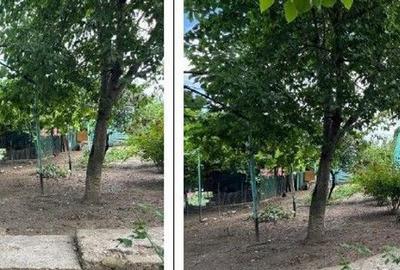 Casă cu 3 camere cu Teren 1481 Mp în Mogoșești - 3