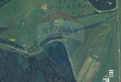 Teren de 10000 mp, în Dumbrăvița - 1