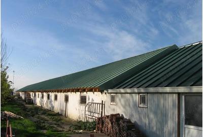 Vand hala multifunctionala Varias - 5