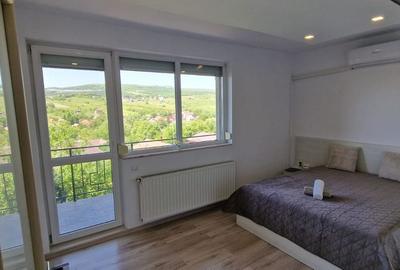 Apartament în Aeroport - 5