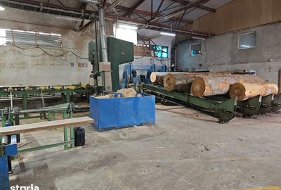 Spațiu comercial, de 43,000 mp, în Voila - 5
