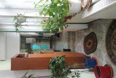 Vand casa Turnu Magurele str Grivita nr 15 - 2