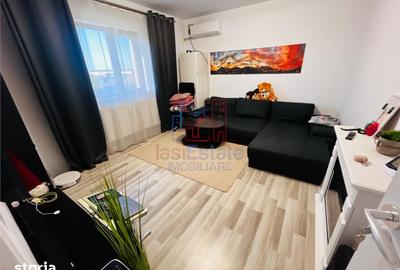 Apartament cu 2 camere decomandat în Ciurea - 10