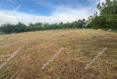 Teren intravilan 800 mp deschidere 40 ml Daia Noua - Sibiu - 4