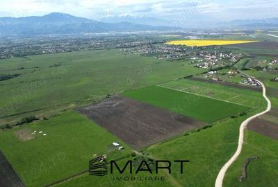 Teren Construcții intravilan de 8600 mp, în Stupini - 2