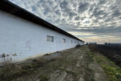 Spațiu comercial, de 7,000 mp, în Central - 1