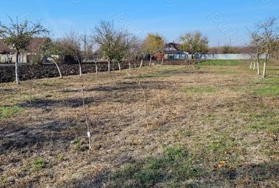 Teren de 1414 mp, în Sânpetru Mare - 4