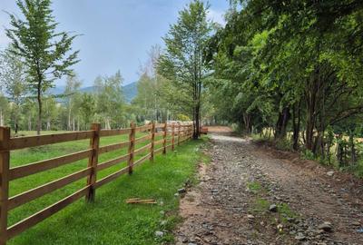 Spațiu comercial, în Glăjărie - 4