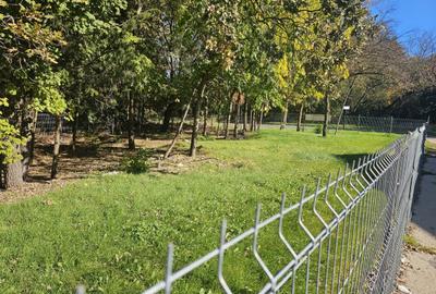 Teren în Ferdinand - 2