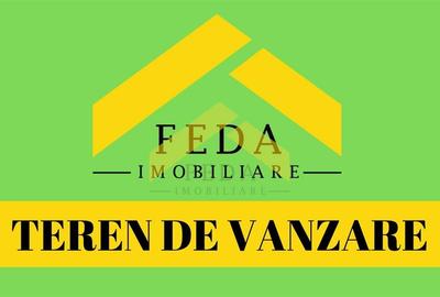 Teren intravilan de vanzare Frumuseni - 3