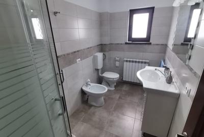Casa D+P+1 din 2017, Bistrita, Com. Alex. cel Bun Neamt - 7