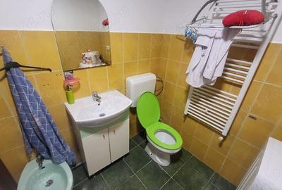 Proprietar vanzare casa zona Bogdanestilor - 5