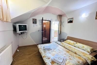 Pensiune + Vila pe malul raului Lotru-Malaia,Valcea - 21