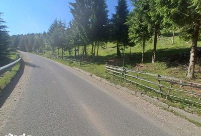 Teren de 1000 mp, în Măguri