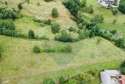 Teren 6,865mp Voronet / Gura Humorului / Bucovina - 21