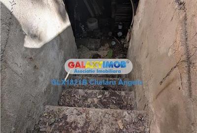 Casă cu 4 camere cu Teren 134 Mp în Parcul Carol - 25
