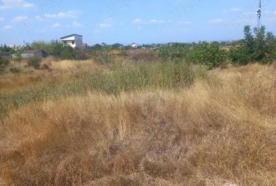 Teren în Broșteni - 5