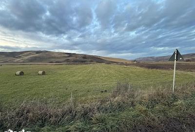 Teren de 6000 mp, în Cojocna - 7