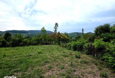 Teren de 2600 mp, în Provița de Jos - 2