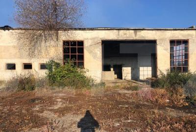 Ferma de vanzare in jud. Covasna, suprafata teren 4824 mp Ferma de vanzare in jud. Covasna, suprafata teren 4824 mp - 6