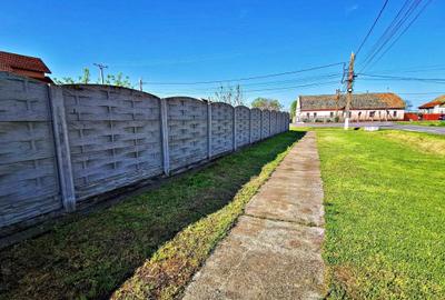 Teren de 450 mp, în Periam - 7