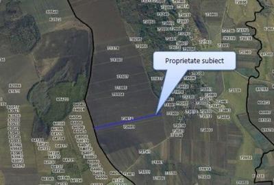 Teren Extravilan Pribesti, ID: R2774827 - 4