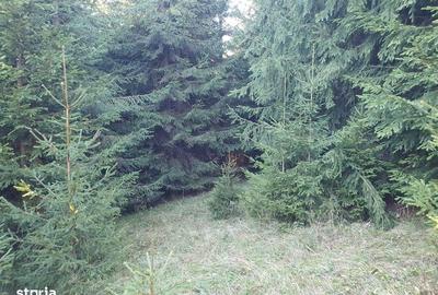 Teren de 162000 mp, în Sărmaș - 1