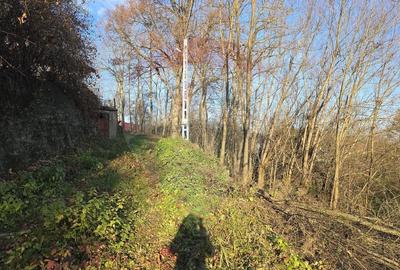 Teren  de vanzare in Fratautii Noi / Strada Dealului - 6