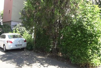 Spațiu comercial, de 630 mp, în Iancului - 9