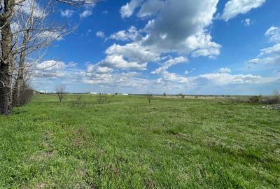 Teren intravilan 10013mp Pielesti DN65 - 2