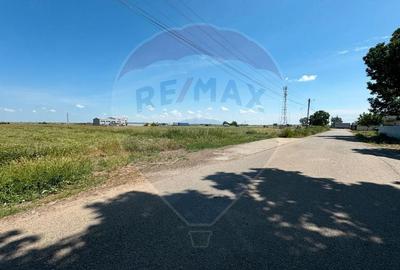 Teren intravilan de 11404 mp, în Biharia - 4