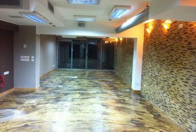 Birouri, salon infrumusetare, cabinet medical, centru wellness-Unirii cu Traian - 5