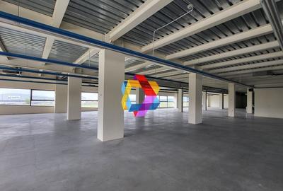 Spatiu - 600 mp #plus-imo.ro - 4