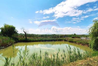 Casa cu teren de vanzare Casa cu teren de vanzare - 13