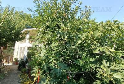 Vila P de , 3 camere, foisor, garaj, teren 612 mp Militari - 1