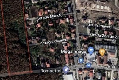 15000 mp padure! - 2