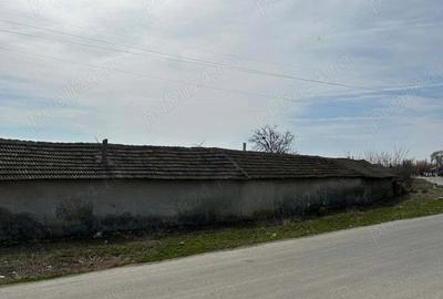 Casă cu 4 camere cu Teren 4276 Mp în Pecineaga - 10