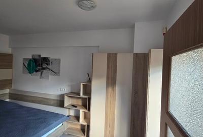 Studio de lux  Sinaia Furnica - 15