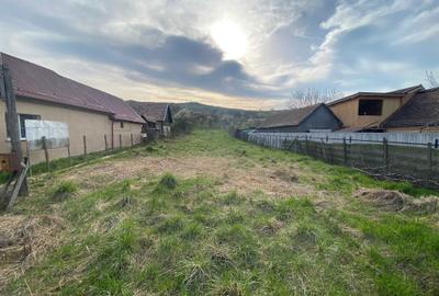 Spațiu comercial, în Băgaciu - 3