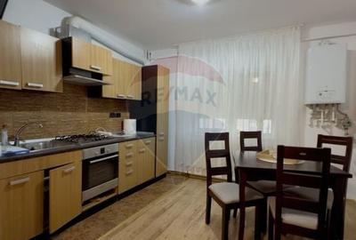 Apartament de inchiriat, zona Lapus - langa Electroputere Mall - 11