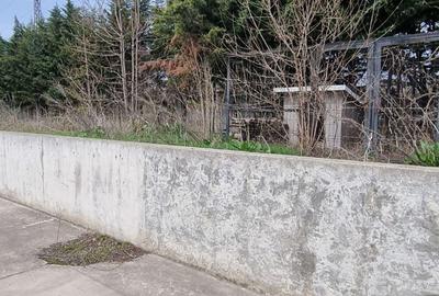 Depozit de vanzare sau inchiriere in Ploiesti - 9